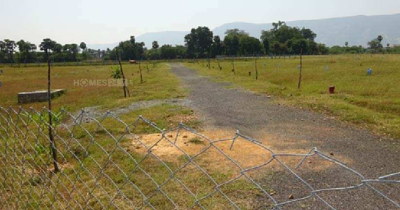 Green Home Natures Paradise